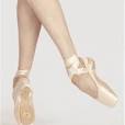 Wear Moi Omega Pointe Shoes